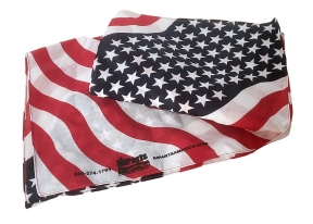 IH Parts America Bandana